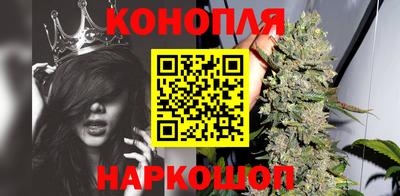 прущие грибы Чапаевск